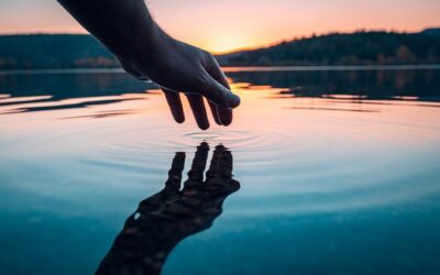 Racing Reflections